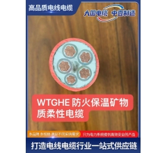 WTGHE 防火保溫礦物質(zhì)柔性電纜